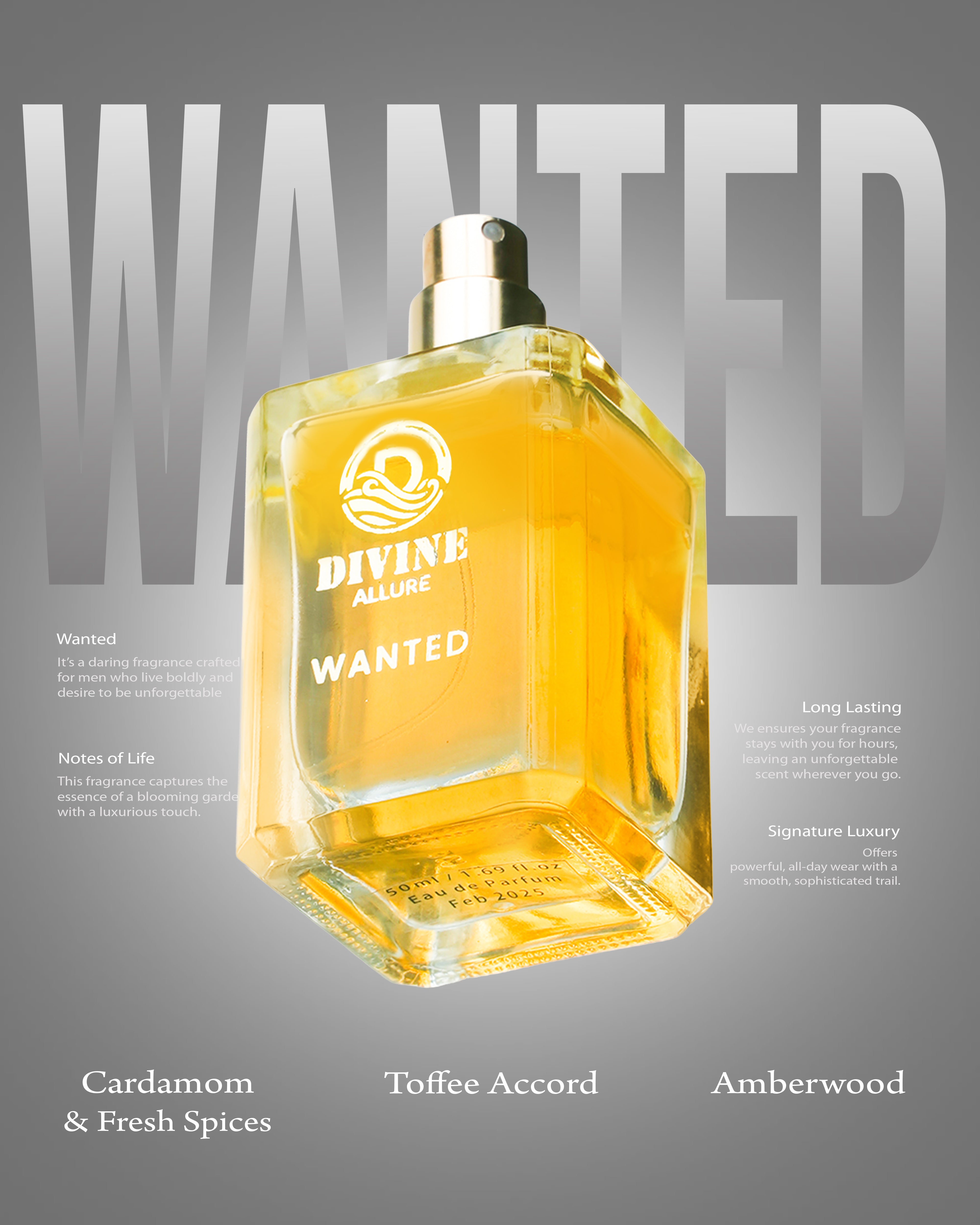 Divine Allure Wanted for Man